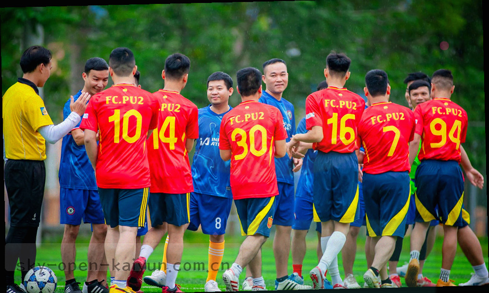 两组抽象模块块左右对照的示意图，中间以竖向斜线分隔